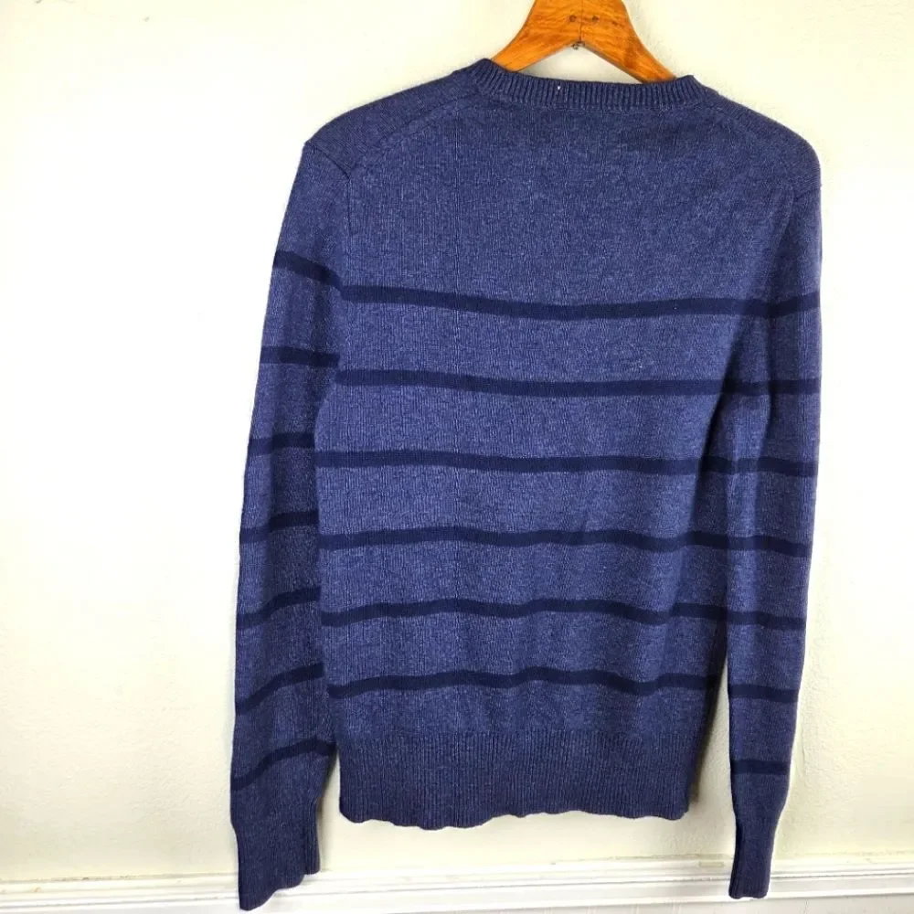 Men's Banana Republuc Blue Striped Fine Italian Merino Wool Pullover Sweater MED